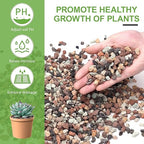 Pulovin 5lbs Mix Horticultural Lava Rocks for Plants, 1/5 Inch Potting Soil Amendment for Succulents, Cacti, Bonsai, Decorative Gravel Plant Drainage Volcanic for Terrarium, Top Dressing