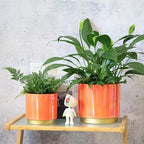 Gepege Peach Indoor Plant Pots for Plants, Ceramic Planter with Drainage Hole, 7.6 Inch +6 Inch 2pcs Succulent Orchid Flower Pot - Rainbow Pearl Glaze