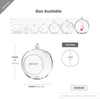 WGV Hanging Terrarium Globe, Width 8", Height 9", DIY Air Succulent Planter, Clear Glass Vase Orb with Flat Bottom, Candle Holder for Windowsill Outdoor Garden Decor, 1 Piece