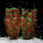 JIHAQUA Aquarium Decor Plastic Plants Extra Large 21 Inches Artificial Fish Tank Plants Tall Fish Tank Decorations (Wine 2pcs)