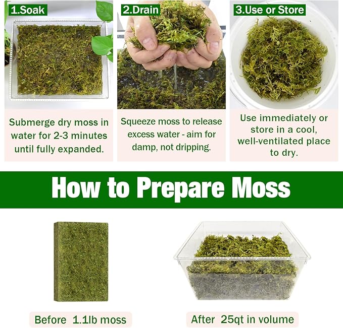 ZeeDix 1.1 lb Forest Moss for Plants Indoor - Dried Orchid Moss for Repotting, Natural Green Sphagnum Moss for Potted Plants Carnivorous Monstera Succulents Crafts Reptile Habitat (Expands to 25 qt)