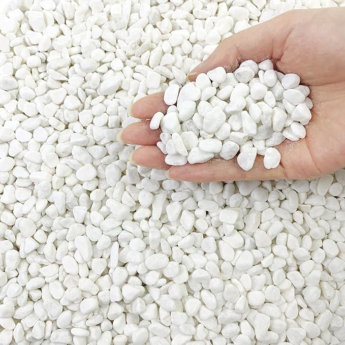 FANTIAN 5lbs Natural White Pea Gravel Pebbles for Succulent Cactus, 3/8 Inch White Rocks for Plants Indoor, Vase Fillers, Bowl, Landscaping and Outdoor Garden Decorative White Stones