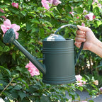 Plastic Watering Can for Indoor Plants Outdoor Garden Flowers - House Plant Watering Can with Sprinkler Head (1/2 Gallon, Green)