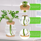 2 Pcs Propagation Vases, Tabletop Plant Terrarium for Propagating Hydroponic, Glass Terrarium Vase Jars, Home Kitchen Decorations and Gifts for Plant Lovers