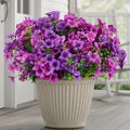 CEWOR 24 Bundles Artificial Flowers for Outdoor Indoor, Fake Silk Daisy with Eucalyptus Leaves, Faux Flower for Garden Front Door Porch Planter Patio Home Decor (Deep Purple Light Purple)