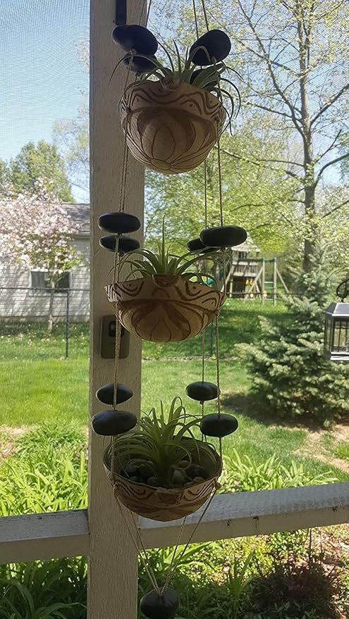 Artificial Air Plants Faux Succulents Plants Unpotted Small Tillandsia Look Real in Flocked Green Premium Crafting DIY Floral Decor for Home Garden Office Party, 3 pcs