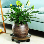 12 Packs Plant Caddy with Wheels 11.8" Plastic Rolling Plant Dolly Coasters Heavy-duty Wheeled Planter Mover Rollers Indoor Outdoor Wheeled Flower Pot Base Suacers with Casters, Brown
