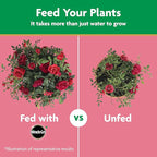 Miracle-Gro Water Soluble Rose Plant Food, 1.5 lb
