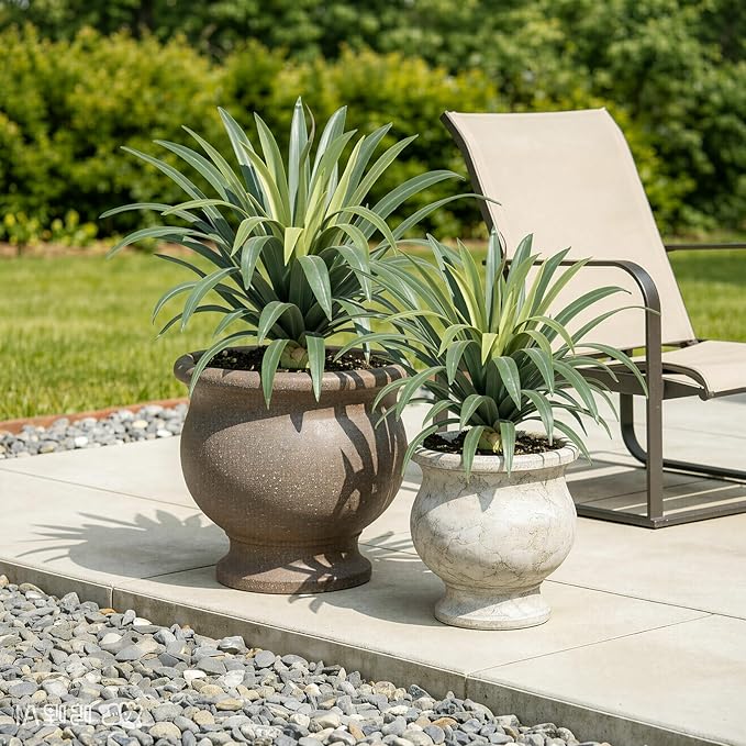 Artificial Agave Plant 19.68Inch UV Resistant Faux Agave Plant Outdoor Large Fake Plants Indoor Realistic Artificial Plants Without Pot for Outdoor Patio Garden Indoor Home Decor (2 Packs)