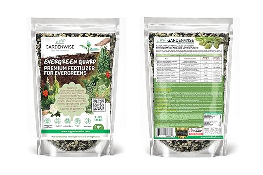 GARDENWISE Evergreen Fertilizer – All-Purpose Granular Plant Food for Outdoor Trees and Shrubs, Azaleas, Magnolias, Pines & Arborvitae – Slow-Release Formula (5 quarts)