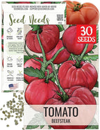 Seed Needs Tomato Seeds for Planting Indeterminate True Beefsteak Tomatoes - Non-GMO Heirloom & Untreated Vegetable Seed to Plant a Home Grown Outdoor Veggie Garden (1 Pack)
