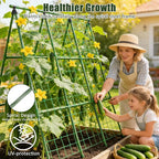 Miory Cucumber Trellis, A-Frame 48" Lx48 H Trellis for Raised Bed, Garden Trellis for Climbing Plants Outdoor, Plant Support for Cucumber