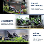 Seiryu Stone Natural Stone Rocks Fish Tank Decor Rocks for Aquariums Landscaping Model Tank Decoration Aquarium Miniature -20lb (2-8 inch)