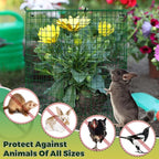 Hiboom 4 Pack Garden Plant Protectors from Animals with Stakes, Metal Mesh and Detachable Covers Wire Plant Cage for Keeping Bunny Animals Out, Chicken Wire Cover Garden Protect (12 * 13 in)
