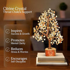Citrine Healing Crystal - Gemstone Tree, Bonsai Trees, Feng Shui Tree, Crystal Gifts for Women, Arbol De La Abundancia, Crytals and Gemstones