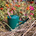 1 Gallon Watering Can, Plant Wate Can, Metal Watering Can with Removable Spout, Galvanized Watering jug, Nice Green Water Can for Indoor and Outdoor use