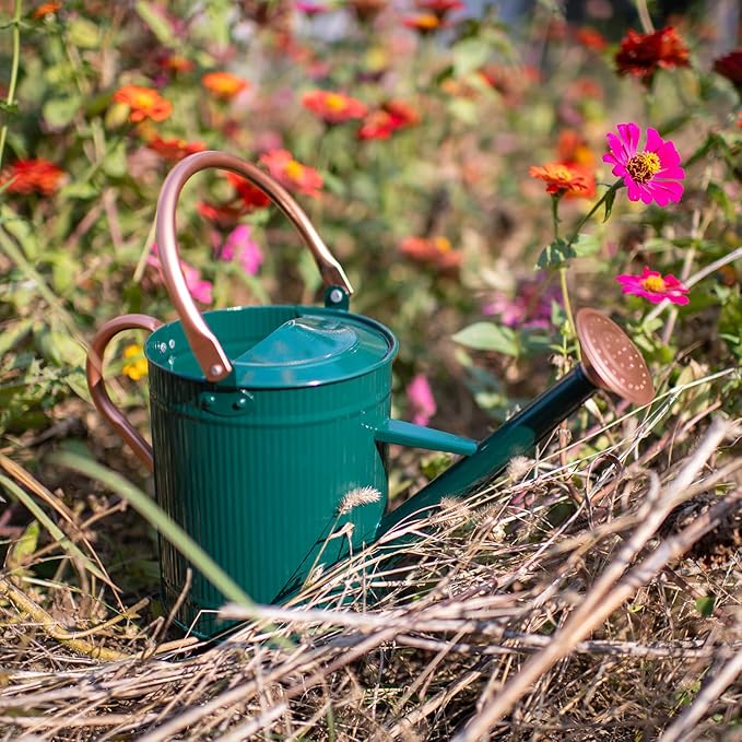 1 Gallon Watering Can, Plant Wate Can, Metal Watering Can with Removable Spout, Galvanized Watering jug, Nice Green Water Can for Indoor and Outdoor use
