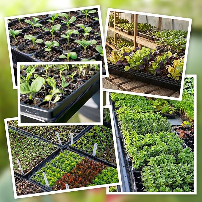 72-Cell Seed Trays with Drainage Trays-10 Sets 20 Packs-1020 Durable Plastic Plant Tray for Seed Germination（21x11x1.81 in）