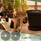 Newtay 10 Pcs 12'' Plant Pot Grid Soil Protector Covers Thickened Flower Protectors from Animals Black Cuttable Flower Grid Cat Digging Stopper for Indoor Outdoor Garden
