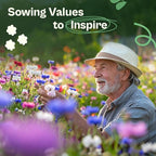 SVI 800 Bachelor Button Seeds for Planting (Centaurea cyanus) – Cornflower, Wildflower Mix Seed Packets – Heirloom Flower Seeds to Plant Outside in Garden, Borders, and Containers