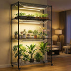 Indoor Greenhouse with 6 Pack 3-Color Grow Light, 36" Wx 14" D x 63" H with 600D Oxford Cloth Cover, 4-Tier Enclosed Plant Stand for Year-Round Indoor Gardening, Timer Plug & Hygrometer
