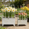 2-Piece Vintage Metal Birdcage Planter Set, Rustic Distressed Plant Holder, Farmhouse Floral Containers for Indoor Outdoor Garden, Patio & Tabletop Decor