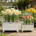 2-Piece Vintage Metal Birdcage Planter Set, Rustic Distressed Plant Holder, Farmhouse Floral Containers for Indoor Outdoor Garden, Patio & Tabletop Decor