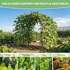 DoCred Garden Arch Trellis, 88in H x 88in L Tall Garden Arch Arbor Trellis for Climbing Plants Outdoor Plant Support for Cucumber Grape Vine, Large Metal Gardening Archway for Lawn Party Ceremony