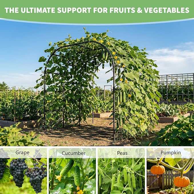 DoCred Garden Arch Trellis, 88in H x 88in L Tall Garden Arch Arbor Trellis for Climbing Plants Outdoor Plant Support for Cucumber Grape Vine, Large Metal Gardening Archway for Lawn Party Ceremony