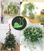 50PCS Plant Wall Clips: Vine Climbing Self-Adhesive Invisible Fixing Hook for Wall & Garden Decoration