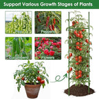 CEWOR Tomato Cage - 6 Pack Tomato Trellis, 63 Inch Extra Tall Tomato Cages for Garden, Plant Support Garden Stakes Triangle Structures for Climbing Plants Outdoor, Pots, Raised Garden Bed, Vegetables