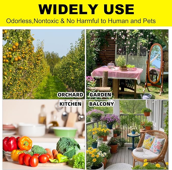 36PCS Fruit Fly Sticky Traps Fungus Gnat Traps Insect Trap for Plants Kitchen Indoor Outdoor White Flies Mosquitos Fungus Gnats Flying Insects Houseplant Gifts (Rocker Shape)