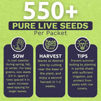 Organic Arugula Seeds - 2 Seed Packets! - Over 1,100 Open Pollinated Non-GMO USDA Organic Seeds