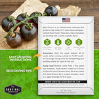 Black Cherry Tomato Seeds for Planting – Indeterminate Heirloom Non-GMO Variety – Grow High Yields of Deep Purple-Black Cherry Tomatoes with Sweet Rich Flavor – Survival Garden Seeds (5 Packs)
