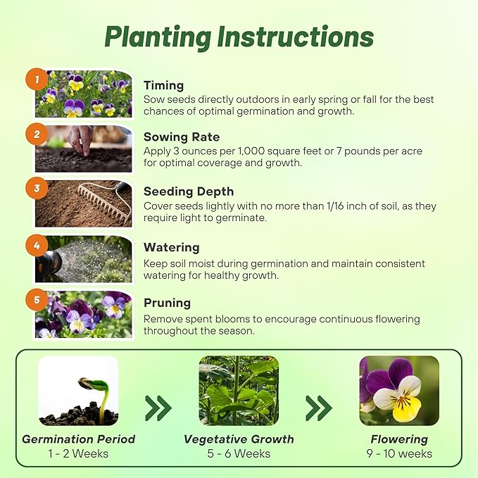 Outsidepride Johnny Jump Up Viola Wild Flower Seeds - 5000 Pcs Easy-to-Grow, Compact & Hardy Perennial Seeds for Planting Outdoors, Ideal for Pollinators, Garden Beds, Containers, & Hanging Baskets