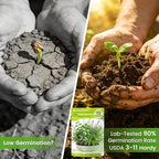 Herb Seeds 15-Pack – 4,500+ Non-GMO Heirloom Seeds for Planting – Indoor & Outdoor Herb Garden Kit with Basil, Cilantro, Rosemary, Thyme, Dill, Sage – Medicinal & Culinary Herb Seeds Variety Pack