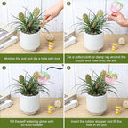 Strawberry Plant Watering Globes Set of 2, Large Water Bulbs for Indoor Plants, Glass Self Watering Planter Insert, Top-Fill Watering Globes for Indoor Outdoor Plants