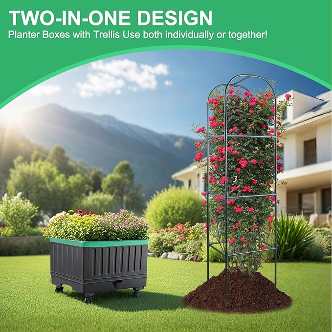 Yhtpouqe Raised Garden Bed with Self Watering Garden Pots, Planter Box with Trellis for Climbing Plants Vegetable Vine Flowers, Tomato Cage Planter for Indoor Outdoor Yard Greenhouse Use
