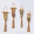 4 Pack Air Plants Holders, Wall Planters for Indoor Plants | Macrame Plant Hanger, Air Plant Hanger for Air Fern, Tillandsias, Live Houseplants & Succulent (NO Plant Included)