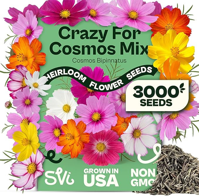 SVI 3000 Mix Crazy for Cosmos Seeds (Cosmos bipinnatus) – Cosmo Mix Wildflower Seed Packets – Easy Grow Annual, Bulk Flower Seeds for Outside Flower Garden, Containers, Flowers Beds