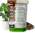 Molly's Aroid Mix - Premium Soilless Potting Mix for Houseplants - Fast Draining, Chunky & Easier to Water vs. Soil for Indoor Plants - with Bark, Coco Chips, Worm Castings, Mycorrhizae 3 Dry Quarts