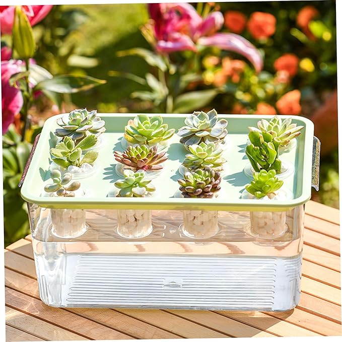 Aquaponics Growing System Hydroponic Planter Box, 12-Hole Transparent Aquaponics Growing System with Green Lid for Home, Balcony, or Desktop Decor