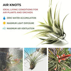 ArtAK Wall Planters for Air Plants & Orchids | Vertical Mount Holders | Hanging Terrariums & Plant Hooks | Indoor/Outdoor Modern Display (Plants Not Included) – Set of 5 Air Knots B5