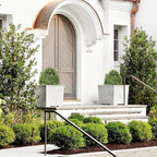 24" Faux Boxwood Plants Outdoor, Artificial Topiary Ball Trees Set of 2, UV Resistant Fake Potted Evergreen Realistic Greenery Bushes Shrubs for Outside Front Porch Planter Patio Indoor Decor 2ft Tall