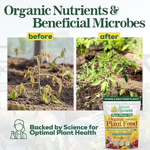 Organic Plant Food with Beneficial Microbes, Fast Acting Vegan Fertilizer for Vegetable Garden, Outdoor & Indoor Plant Fertilizer, Miracle Growth for Plants Concentrated 250GR Makes 60 Gallons