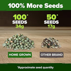 HOME GROWN Organic Cascadia Snap Pea Seeds 100+ Heirloom Non-GMO Seeds for Planting, High Germination, Sweet Edible Pods, Stringless Sugar Snap, Cool Season Garden, Containers (Pisum sativum)