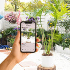 10-Pack Large Indoor Plant Stakes - 15.5-Inch Heavy Duty Metal Supports for Monstera and Outdoor Plants | Ideal for Supporting Tall Plants & Enhancing Garden Displays |