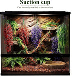 Suncalla Reptile Plants Terrarium Hanging Plants Vines Boston Climbing Terrarium Plant with Suction Cup for Bearded Dragons Lizards Crested Gecko Snake Crab Tank(Tri Color Series,3 Colors)