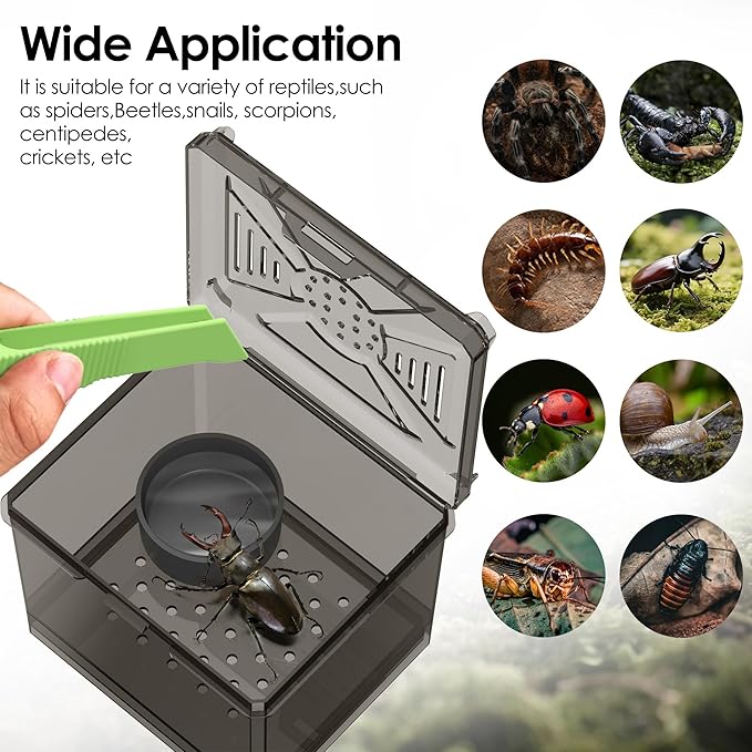 Spider Habitat Kit - Ready-to-Use Box for Small Insects,Dubia Roach, Cockroaches, Crickets, Scorpions, Centipedes, Mantises & Snails 3.74''x3.15''x3.35''(No Assembly Needed)
