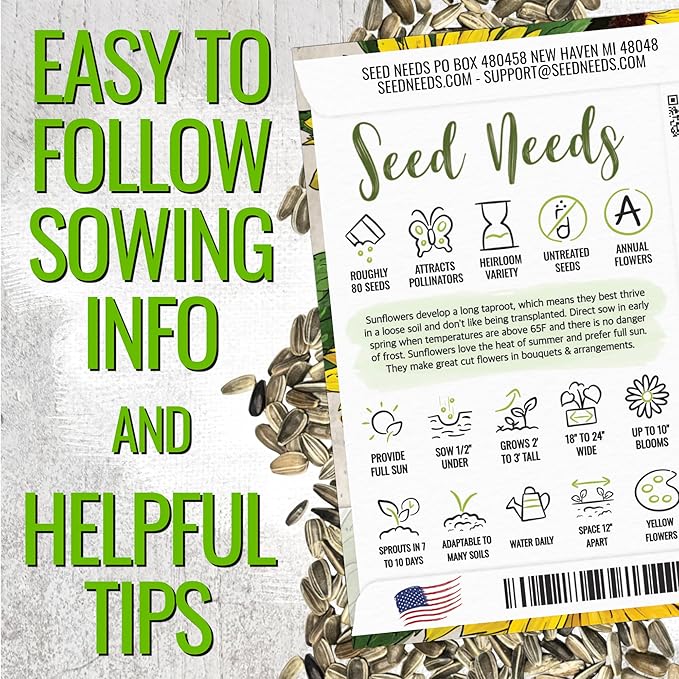 Seed Needs Sunflower Seeds for Planting Dwarf Sunspot Sunflowers - Heirloom & Open Pollinated Annual Cut Flower Seed to Plant 2 Foot Tall Sun Flowers (5 Packs)